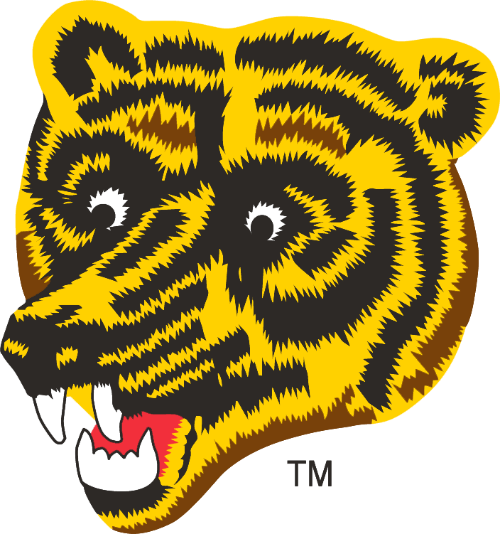 Boston Bruins 1976-1995 Alternate Logo iron on transfers for clothing